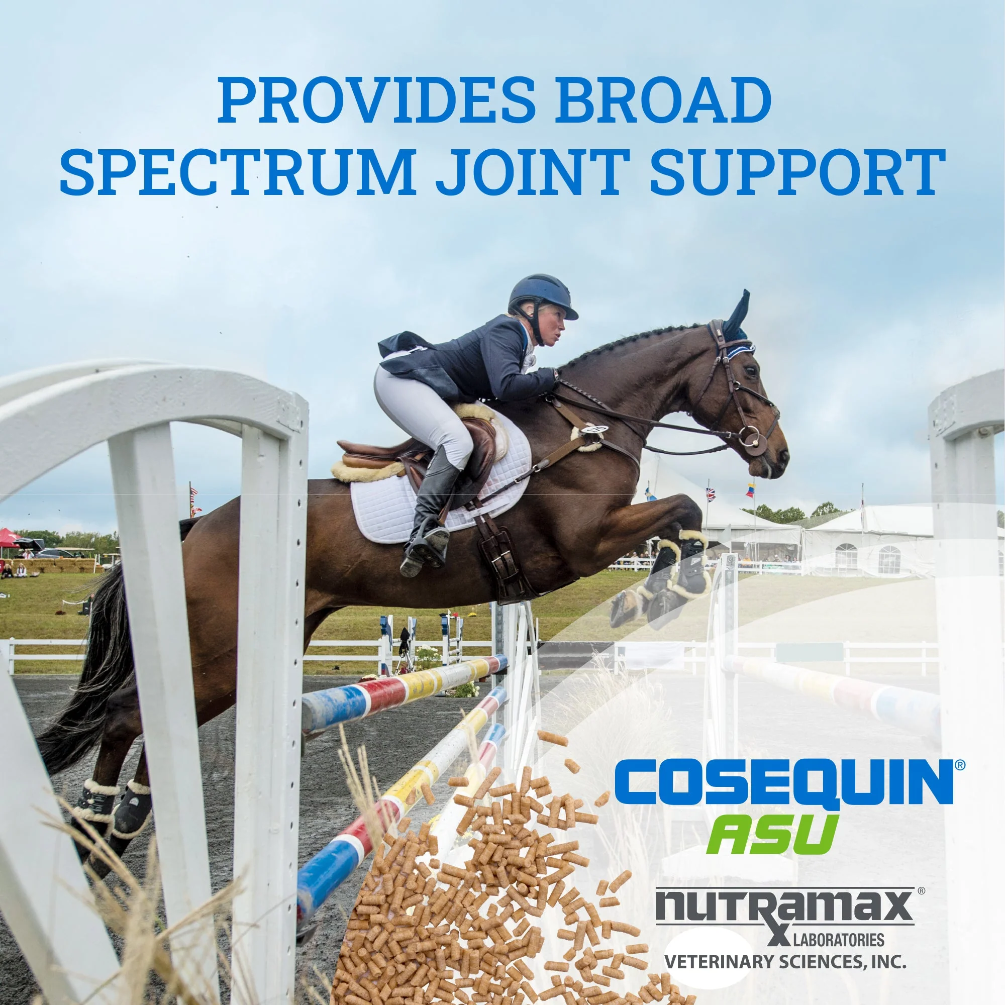 Nutramax Cosequin ASU Pellets Joint Health Supplement for Horses, 1420g - Image 6