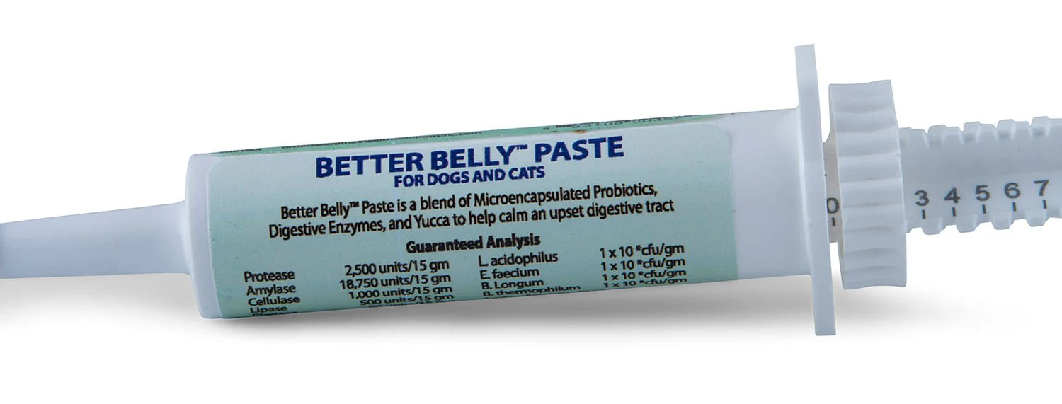 Prothrive Better Belly Probiotic Paste for Dogs & Cats, 15 gm - Image 2