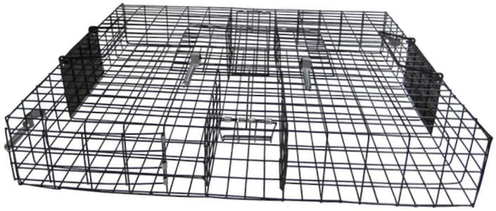 The Squirrelinator Squirrel Trap - Image 4