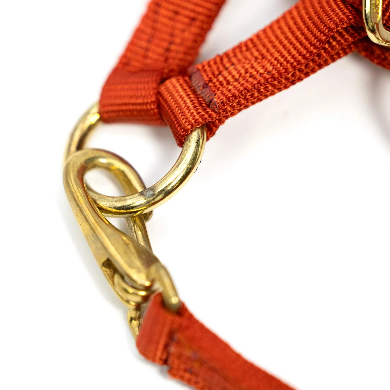 3/4" Adjustable Nylon Horse Chin Halter with Throat Snap with Brass Hardware - Image 2