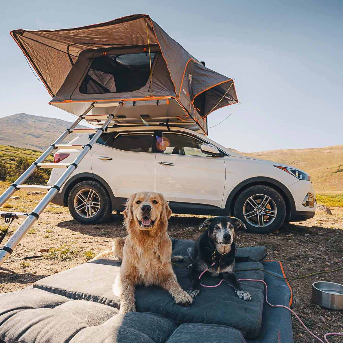 Big Barker 3" Thick SUV Dog Bed – Orthopedic, Waterproof, Large Breed Travel Dog Bed with Joint Support - Image 12