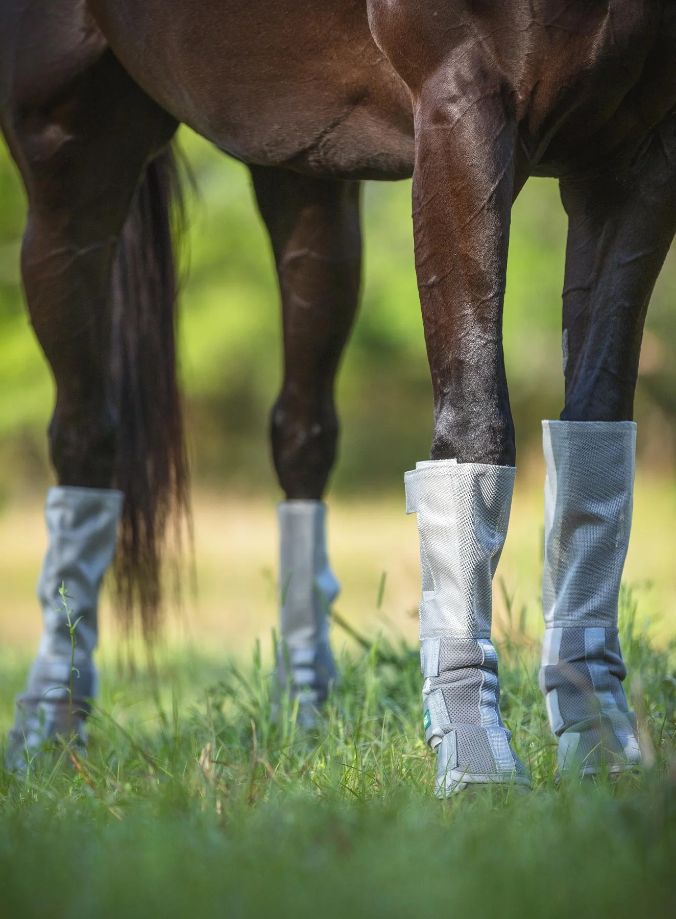 Rambo 4-pk Tech-Fit Horse Fly Boots - Image 2