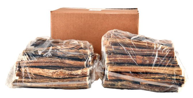 6" Bully Sticks for Dogs by QT Dog - Image 16