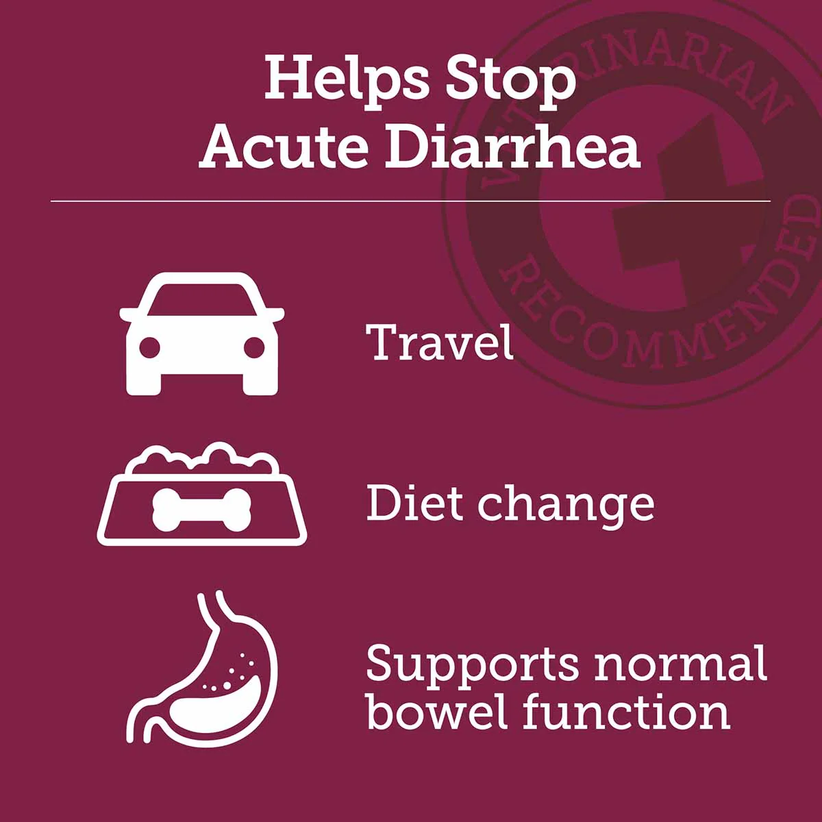 'Stop the Runs' Anti-Diarrhea Chewables for Dogs, 6-1 ct - Image 4