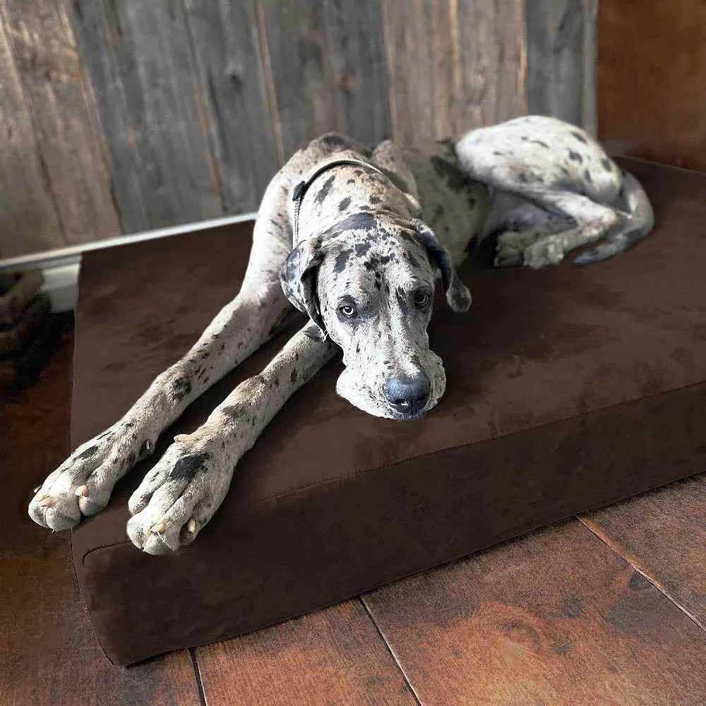 Big Barker Original Sleek Dog Bed, 7" Thick – Orthopedic Foam for Large & Giant Dogs - Image 14