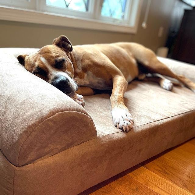 Big Barker 7" Thick Orthopedic Sofa Dog Bed for Large & Giant Breed Dogs – Vet Recommended, Joint Support, Durable Foam - Image 23