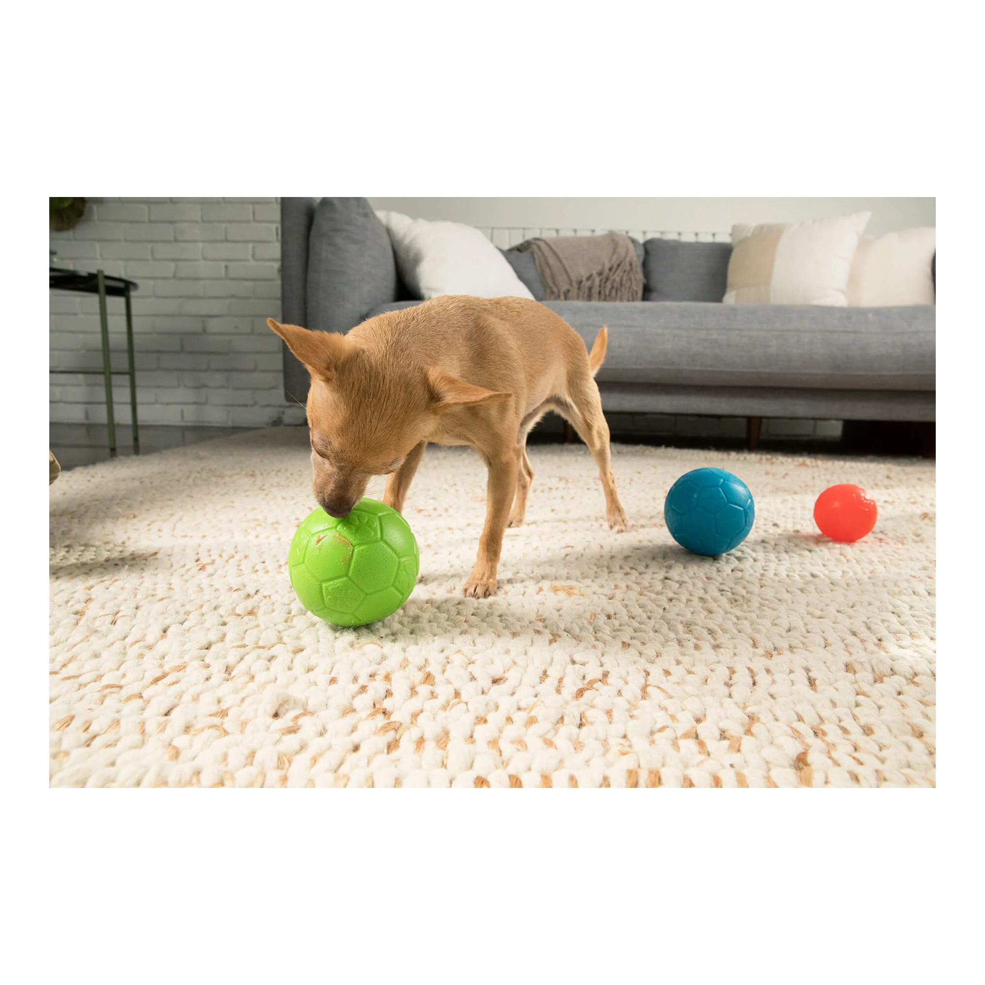 Jolly Soccer Ball for Dogs – Durable, Floating, Puncture-Resistant, Fetch Toy, Made in USA - Image 7