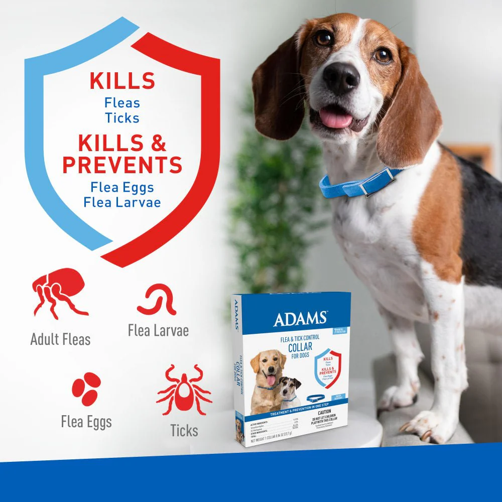 ADAMS Flea & Tick Control Collar for Dogs, 7-Month Protection, Adjustable One Size Collar Fits All - Image 2