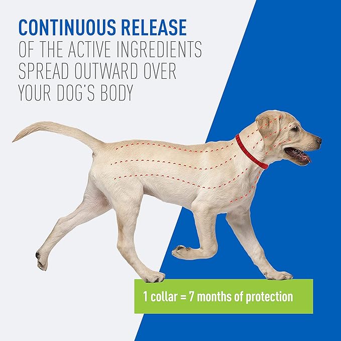 Adams Plus Dog Flea & Tick Collar - Image 5