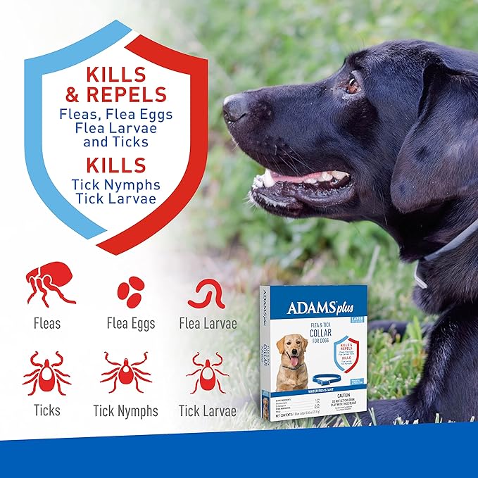 Adams Plus Dog Flea & Tick Collar - Image 6