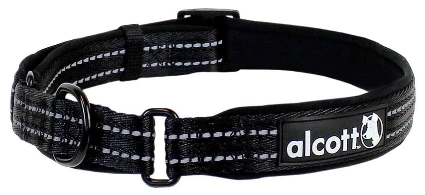 alcott Martingale Collar for Dogs - Image 14
