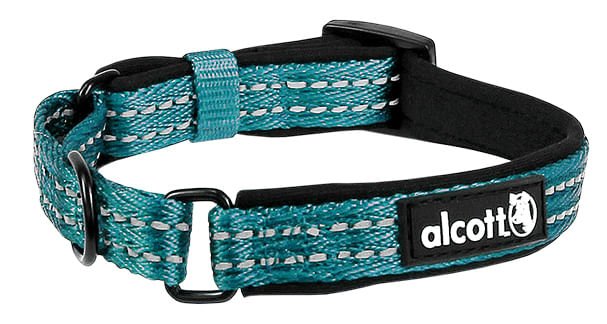 alcott Martingale Collar for Dogs - Image 7