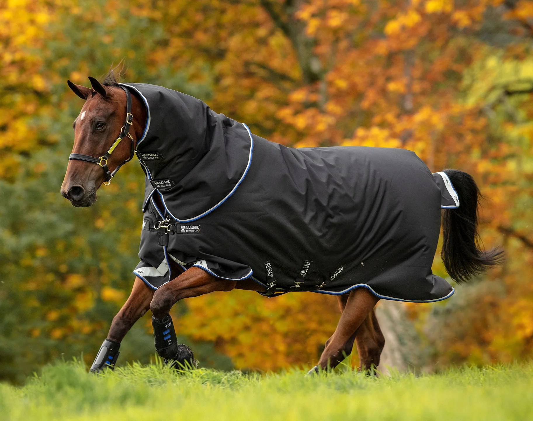 Amigo Bravo 12 Plus Horse Turnout Blanket 250g, Waterproof Medium Weight with Detachable Hood, 1200D Durable Outer - Image 5