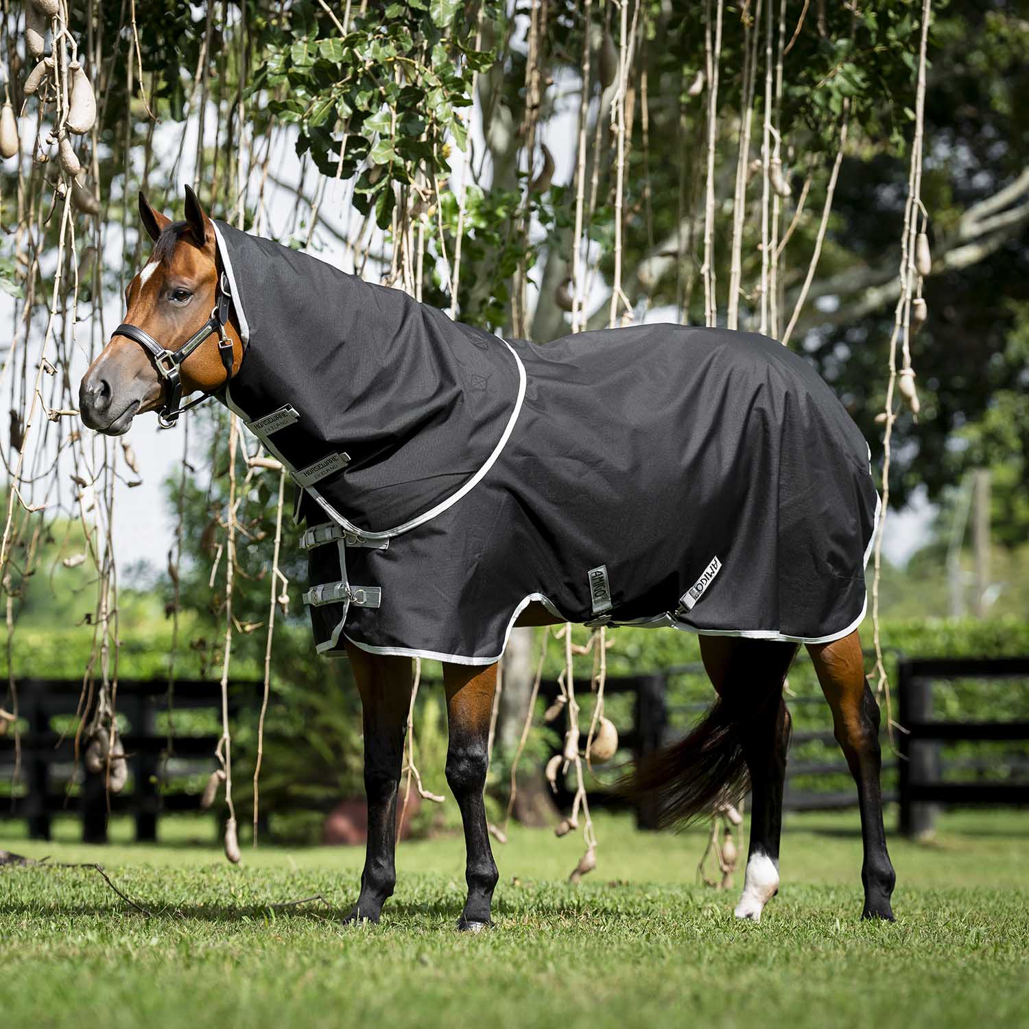 Amigo Ripstop 900D Quarter Horse Plus Turnout Blanket - 200g Medium Weight, Waterproof with Detachable Hood