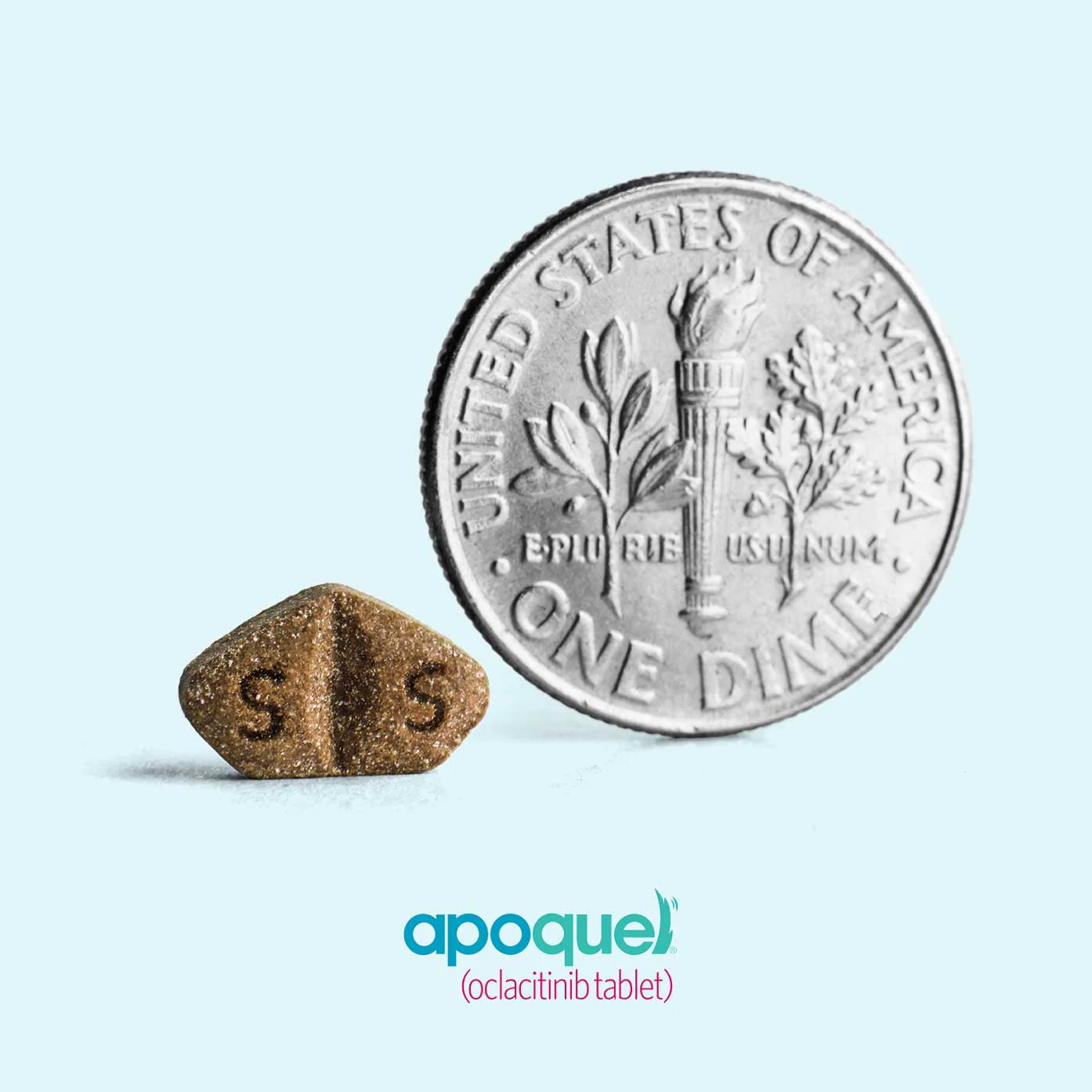 Rx Apoquel (oclacitinib) Chewable Tablets for Dogs - Image 3