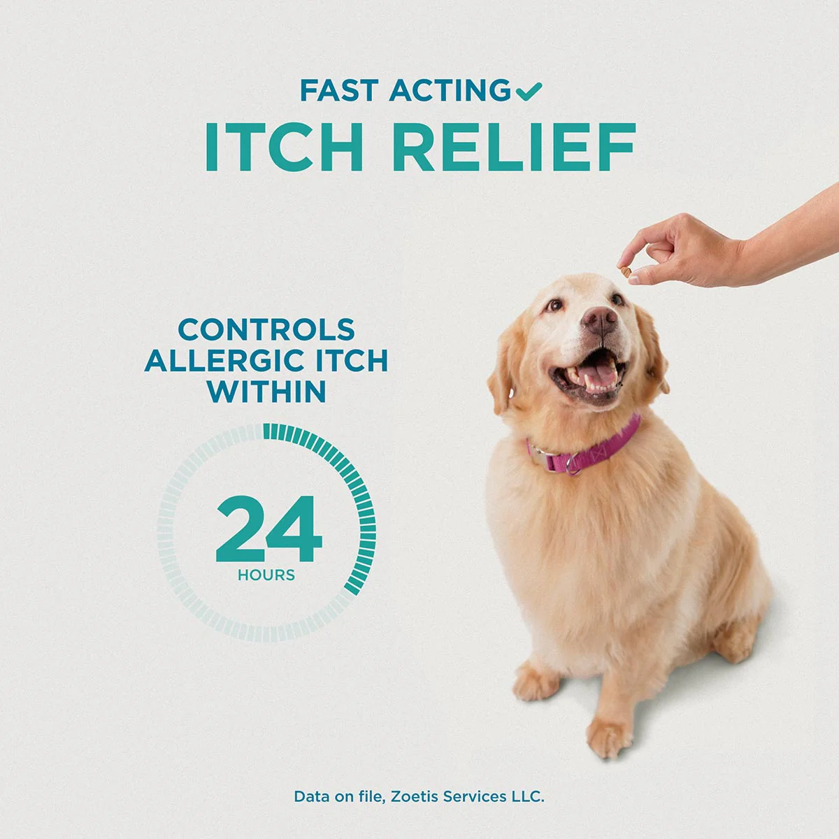 Rx Apoquel (oclacitinib) Chewable Tablets for Dogs - Image 38