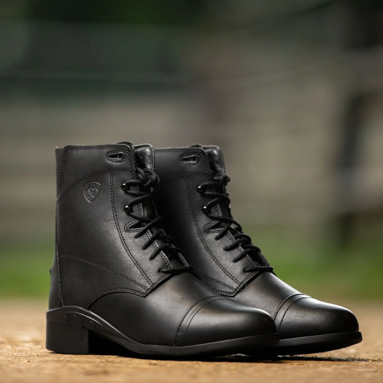 Ariat Women's Scout Paddock Boot, Black - Image 44