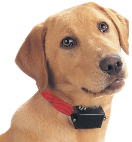 PetSafe Bark Control Collar - Image 6