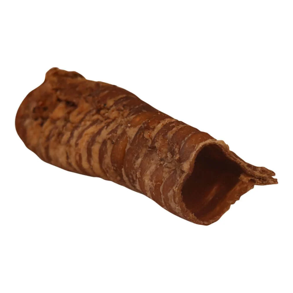 Pet's Choice Beef Trachea Dog Chews, 6" - Image 6