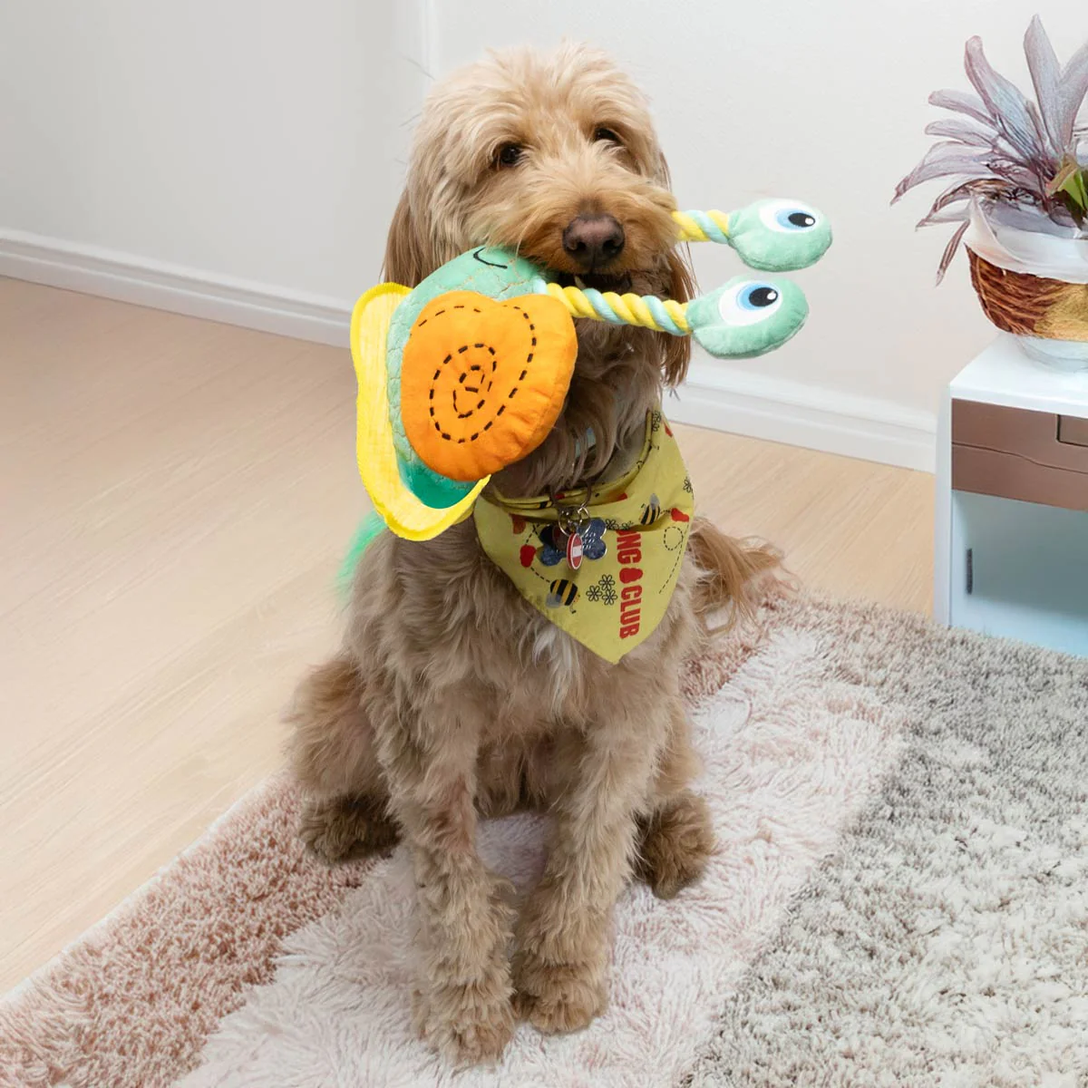 KONG Bendeez™ Plush Dog Toy with Flexible Rope Core & Squeaker - Image 27
