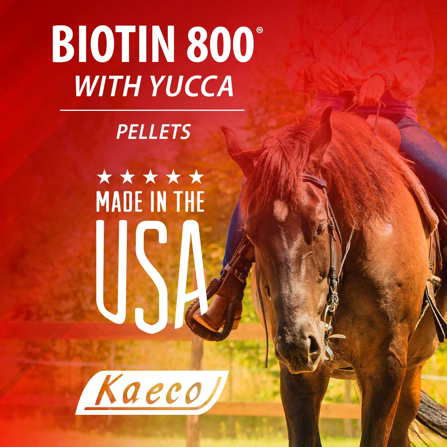 Biotin 800 Pellets Equine Supplement - Image 3