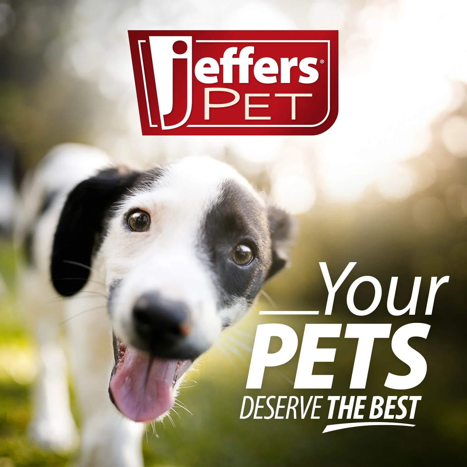 Jeffers Red Orbits Ball Natural Rubber Dental Treat Dispensing Dog Chew Toy - Image 11