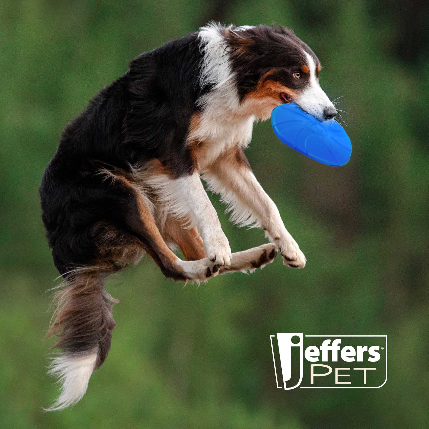 Jeffers Blue Bone Stamped Frisbee Natural Rubber 8 Inch Dog Toy for Fetching & Chewing - Image 6