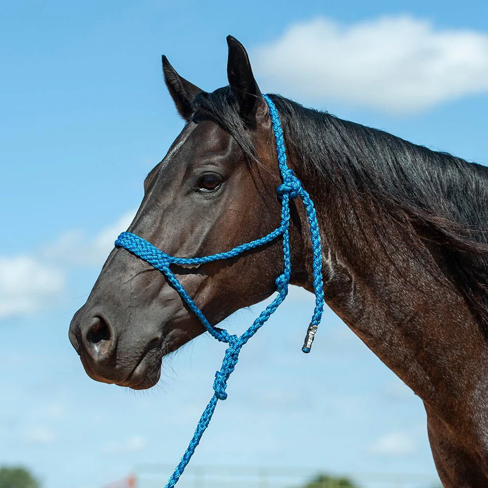 Braided Mule Tape Halter with 9' Lead - Image 3