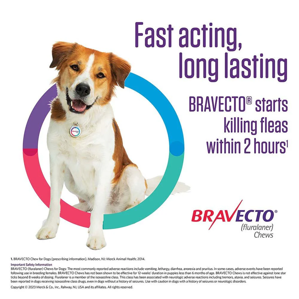 Rx Bravecto Chews for Dogs (Fluralaner) - 12 Week Flea & Tick Prevention, 1 Chew - Image 18