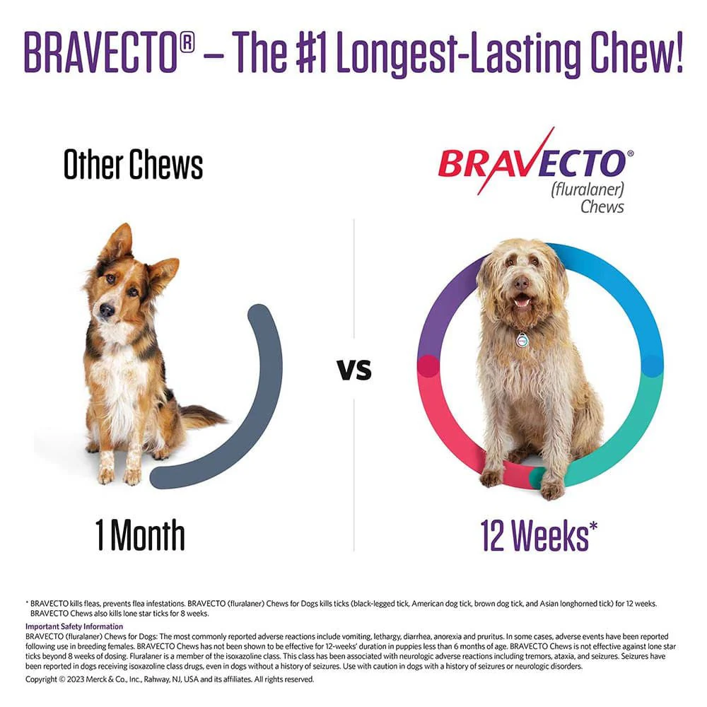 Rx Bravecto Chews for Dogs (Fluralaner) - 12 Week Flea & Tick Prevention, 1 Chew - Image 4