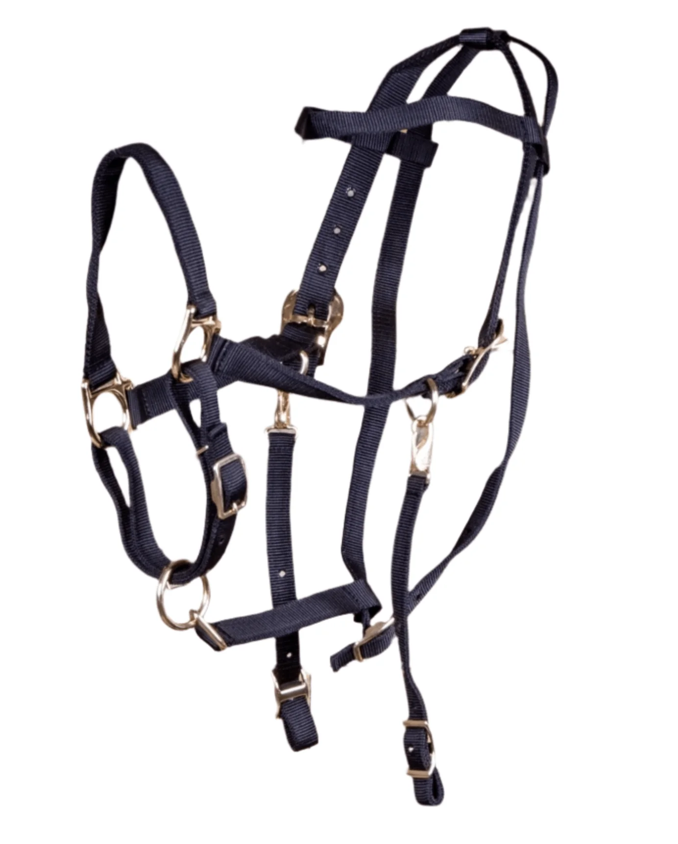 Jeffers Nylon Combination Horse Halter Bridle with Reins - Image 3