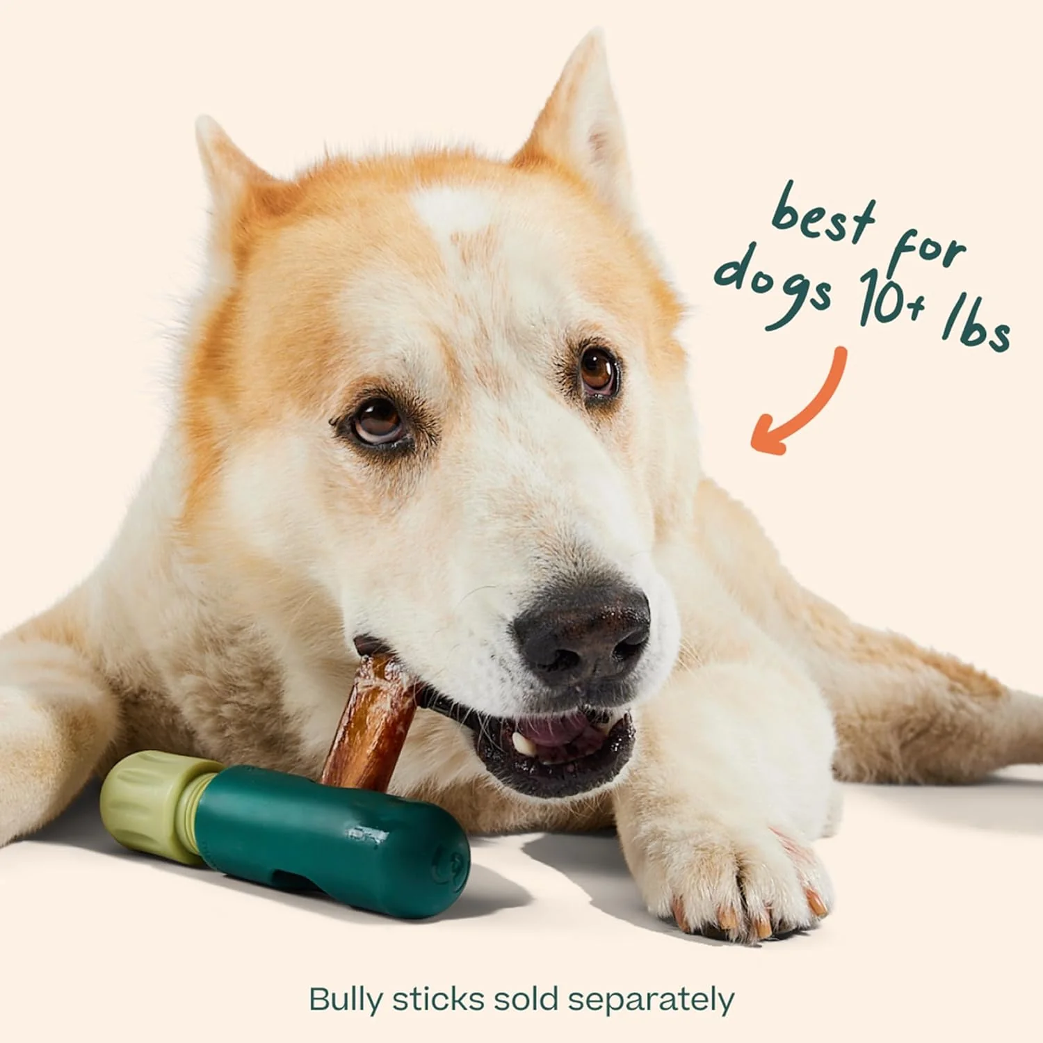 BullySafe Bully Stick & Chew Holder – Safe, Durable Chew Toy for Dogs - Image 8