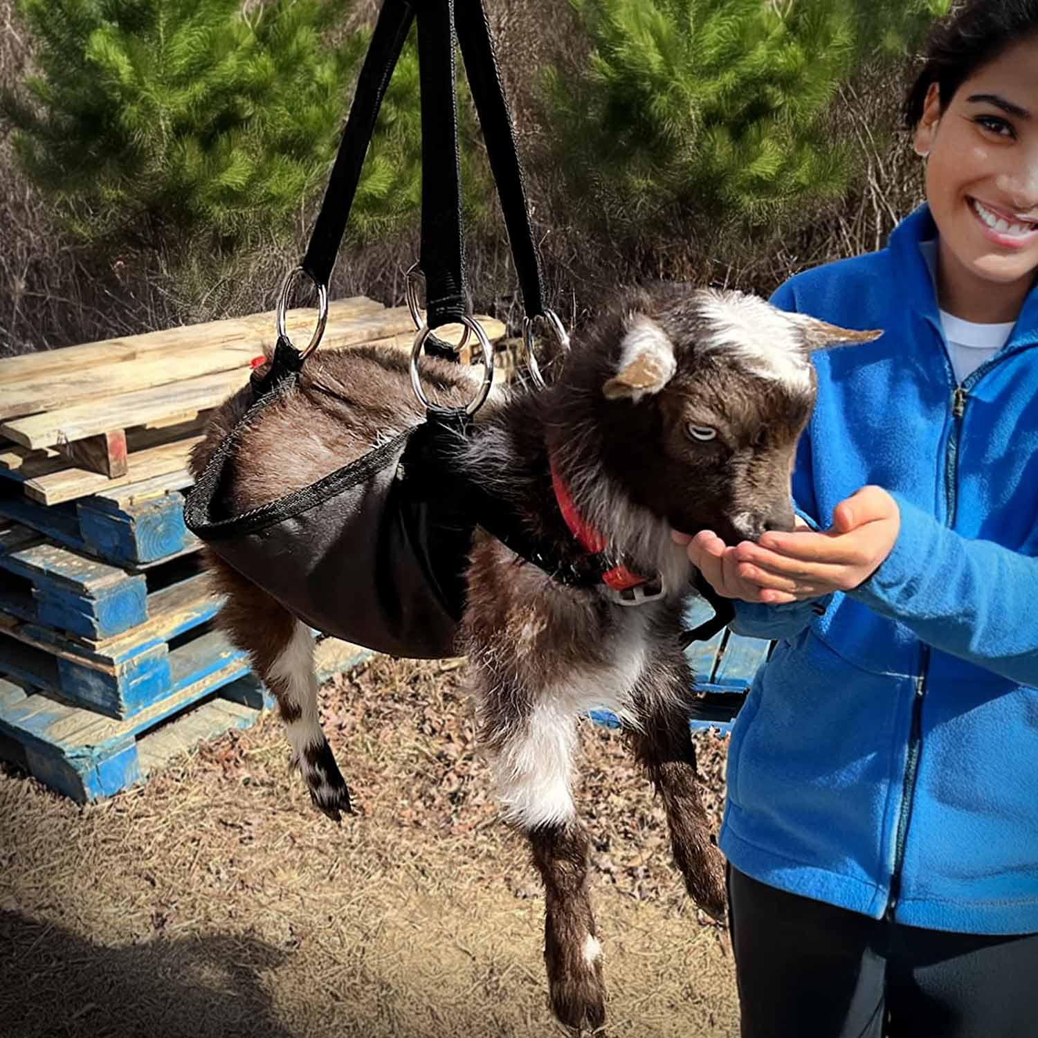Jeffers Calf Sling - Image 2