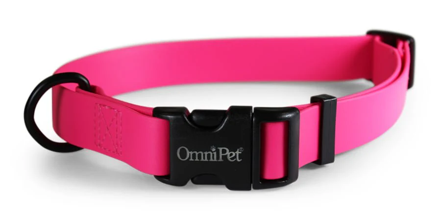 Carnival Dog Collars - Image 2