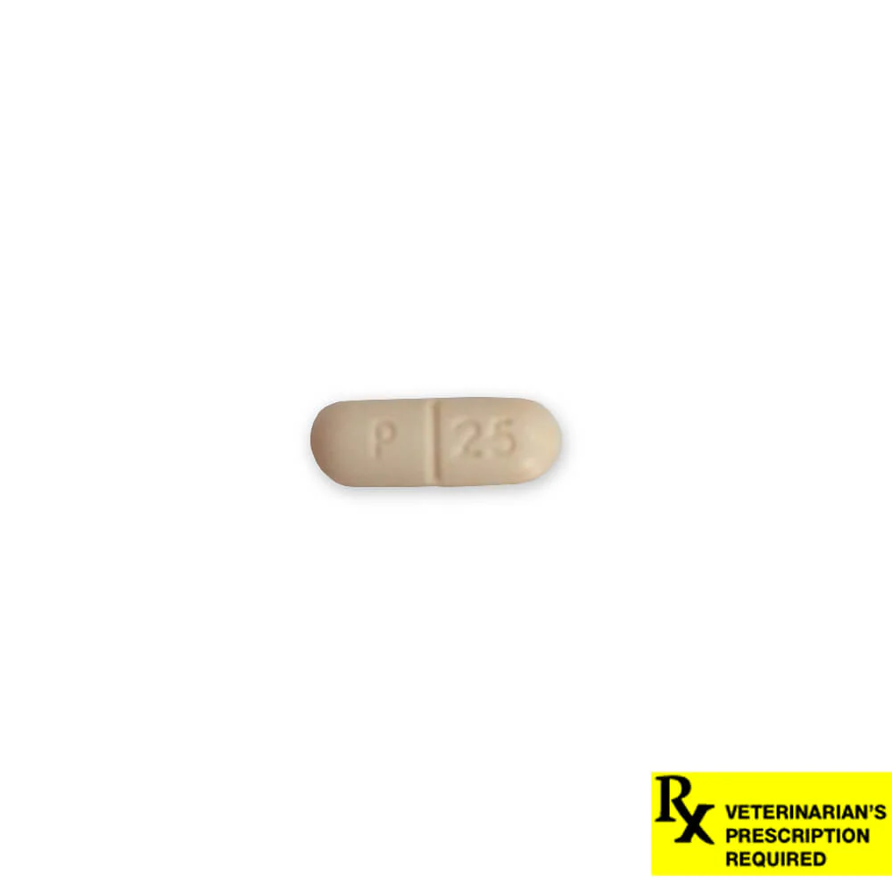 Rx Carprofen (carprofen) Caplets for Dogs - Image 3