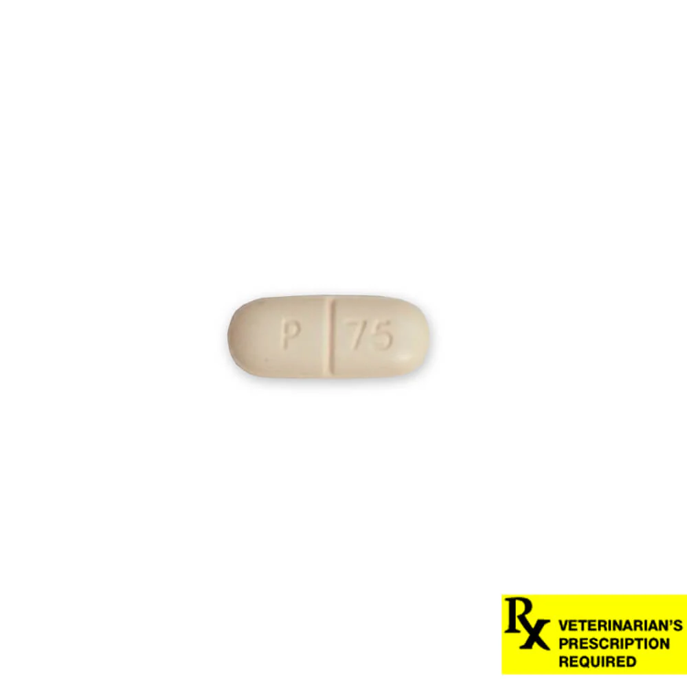 Rx Carprofen (carprofen) Caplets for Dogs - Image 5