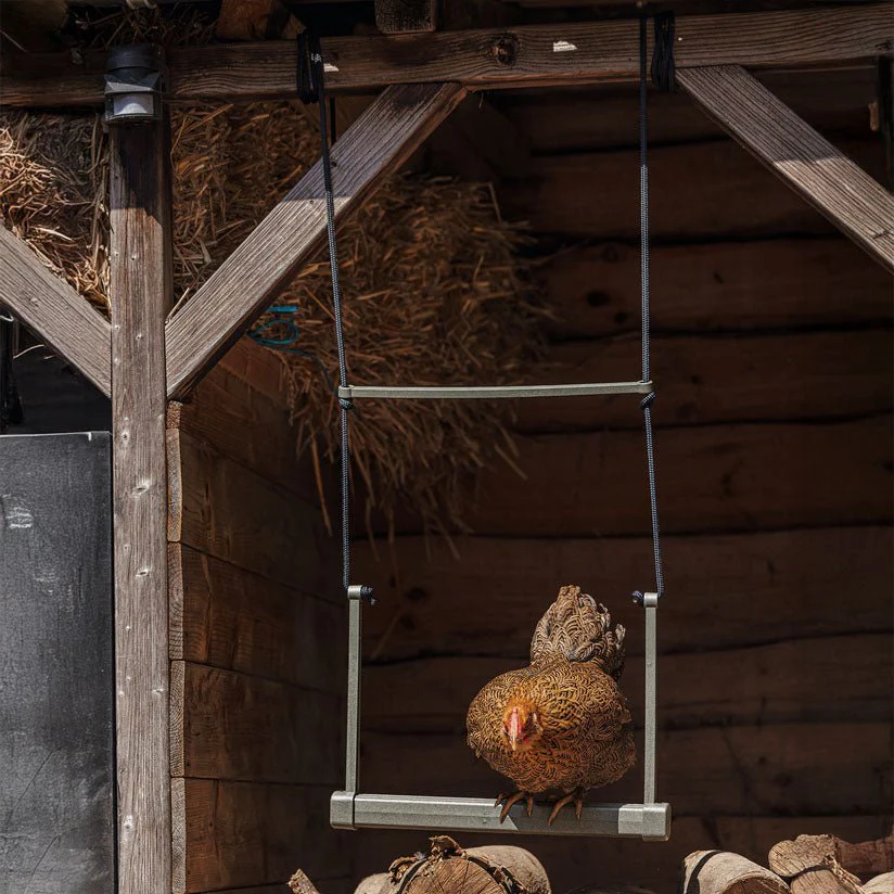 Backyard Chicken Swing – Durable, Recycled Material for Flock Activity - Image 3