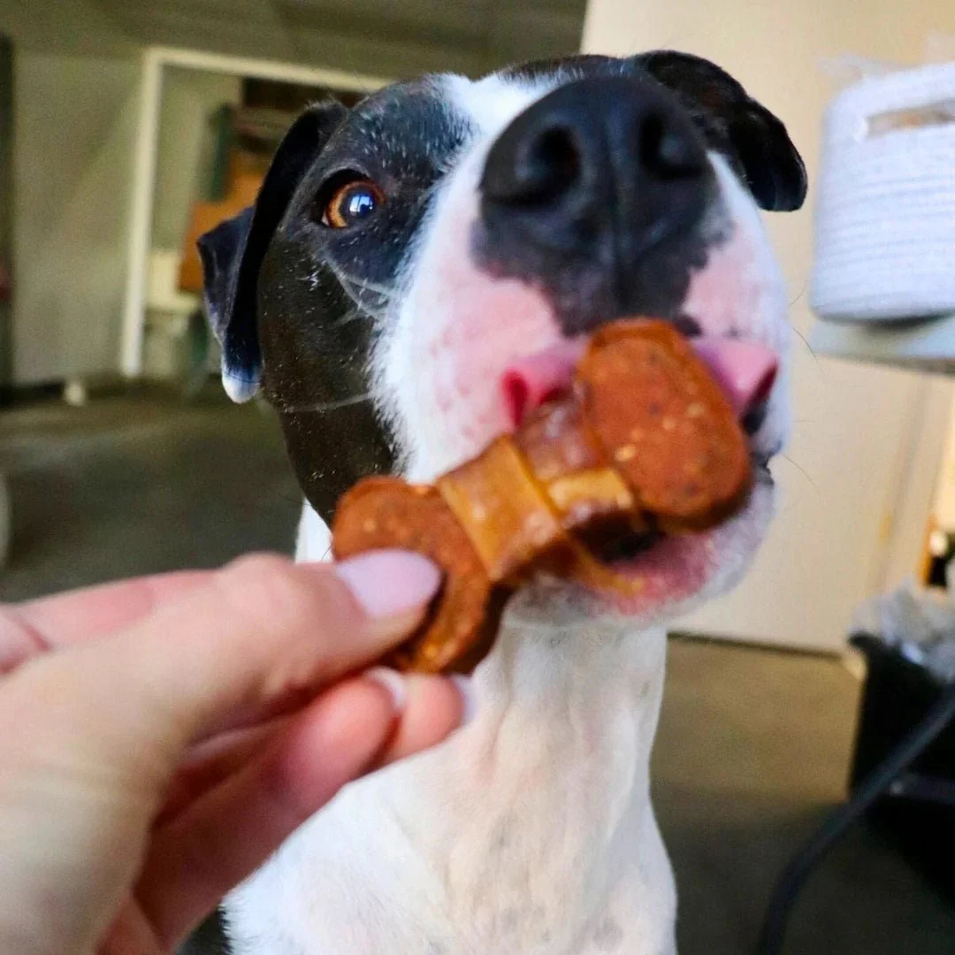 Sweet Potato Bones Dog Treats – All Natural, Limited Ingredient, Oven-Baked, Made in USA - Image 6