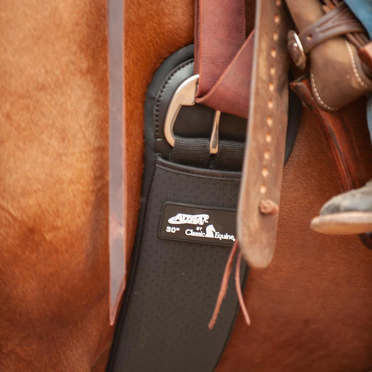 Classic Equine Aura Neoprene Straight Cinch with Stainless Steel Hardware - Image 2