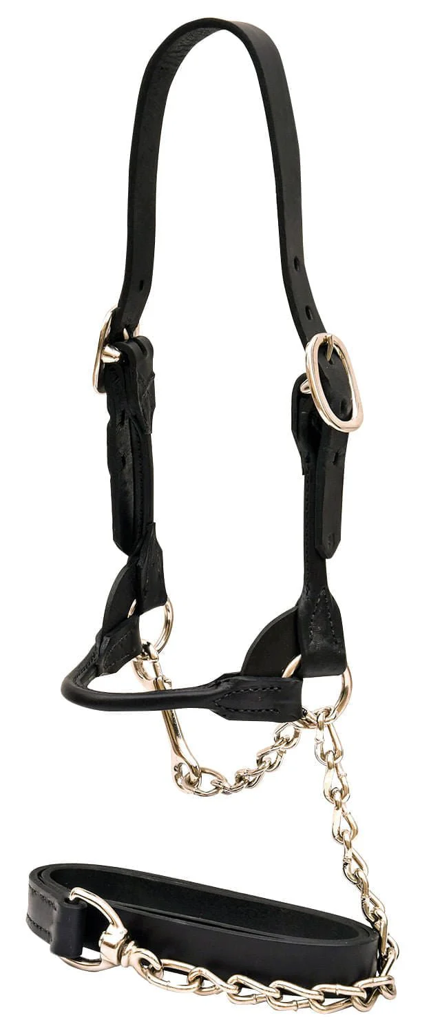 Weaver Leather Classic Rounded Cattle Show Halter with Lead, Large