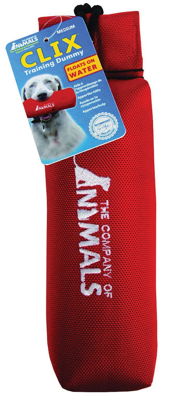CLIX Canvas Training Dummy - Image 2