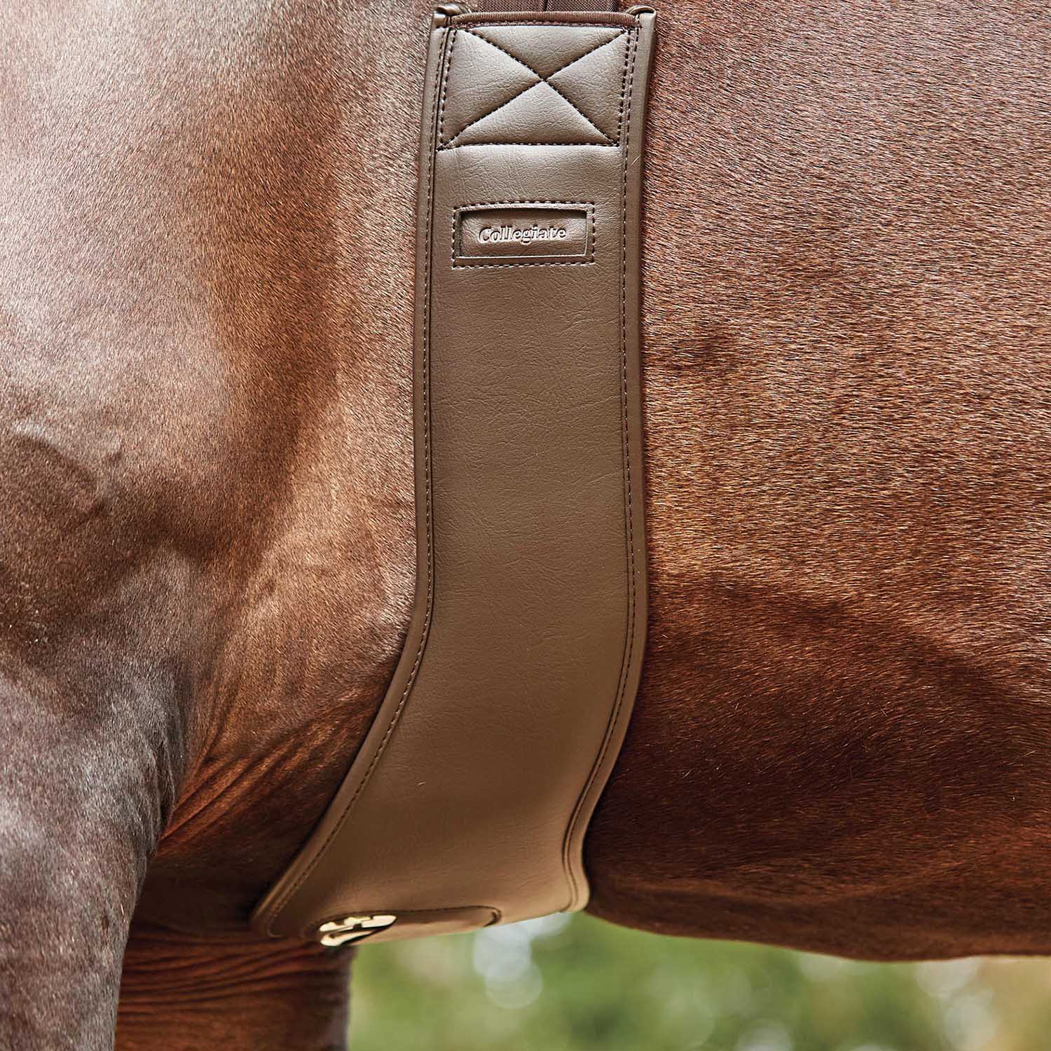 Collegiate Anatomic Girth, Brown - Image 28