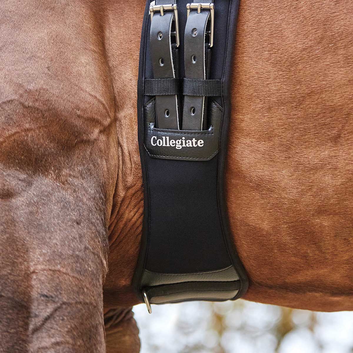 Collegiate Memory Foam Dressage Girth, Black - Image 18