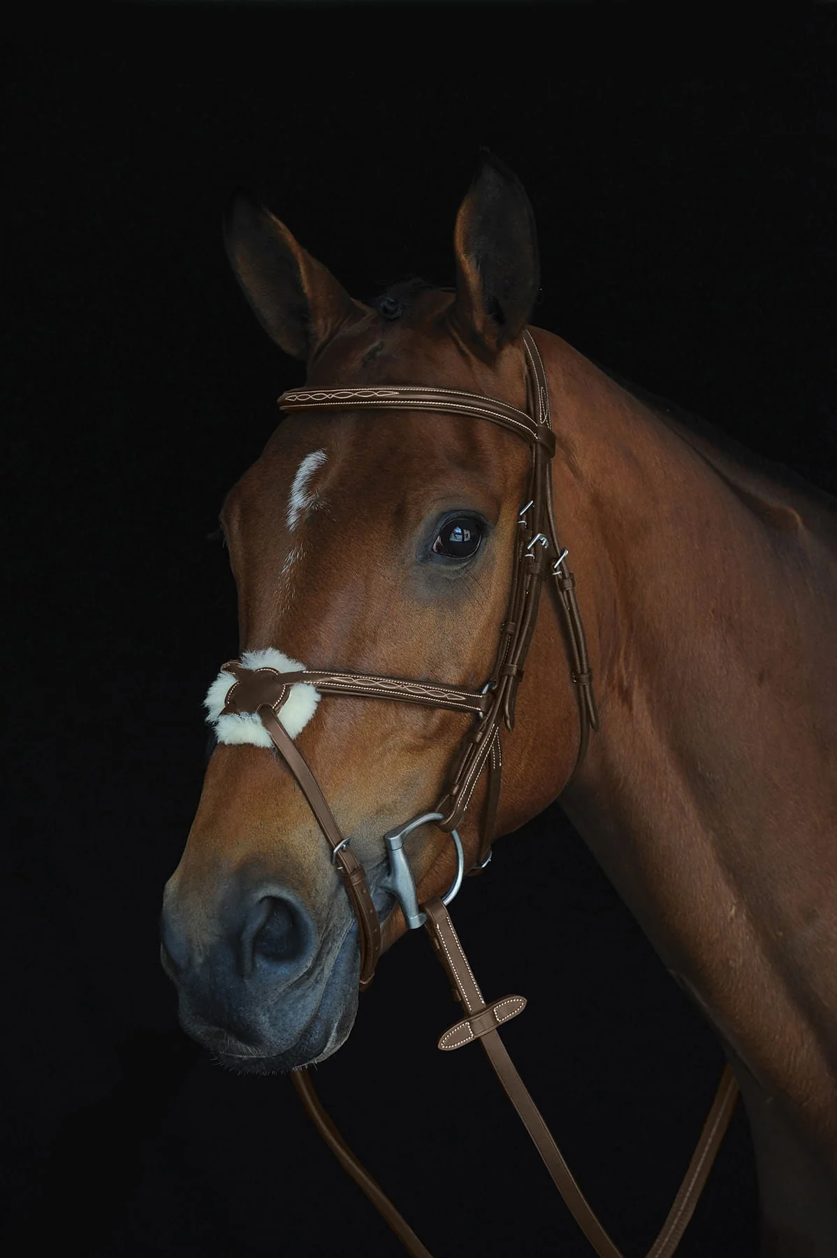 Collegiate Mono Crown Figure 8 Bridle, Brown - Image 2