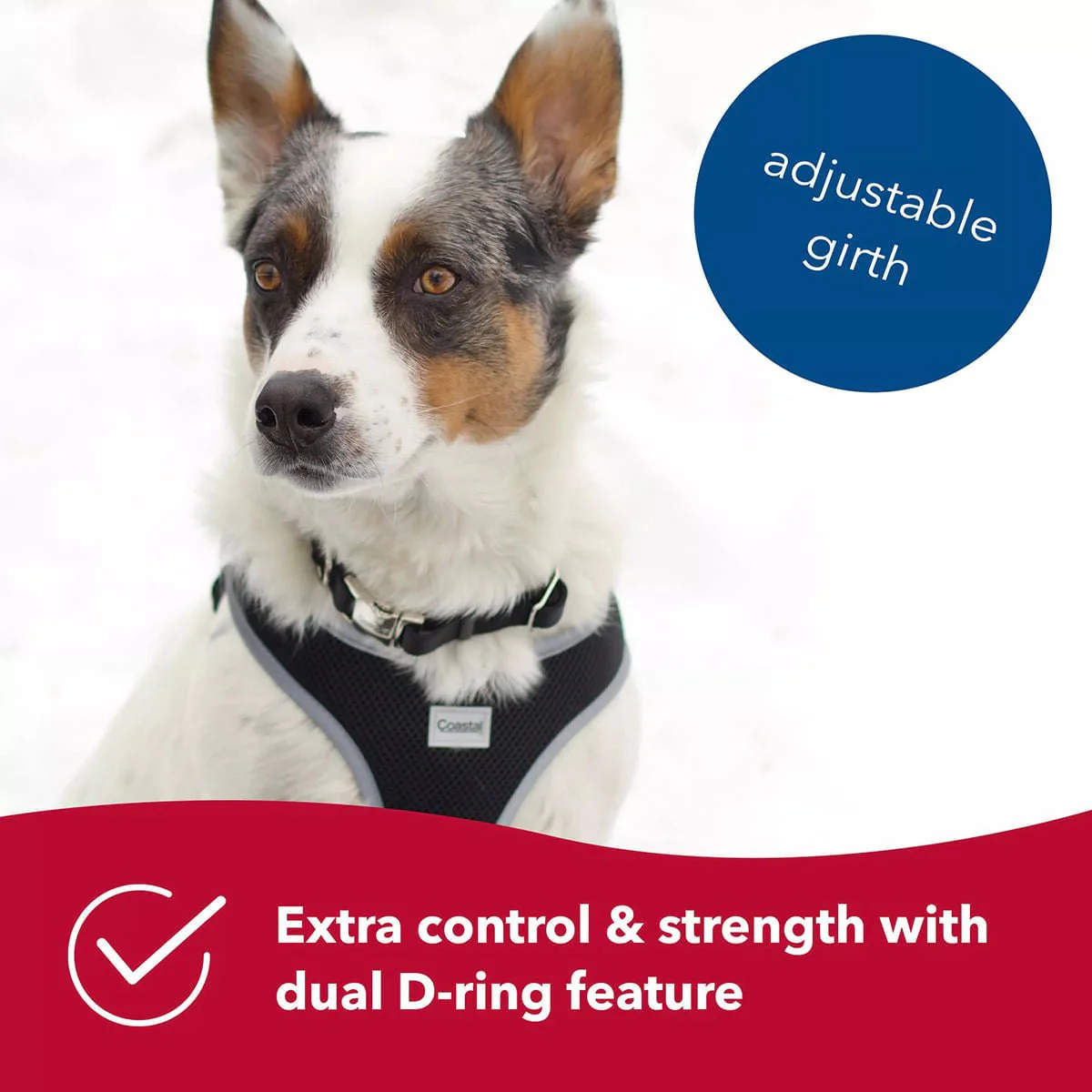 Comfort Soft Reflective Wrap Adjustable Dog Harness - Image 19