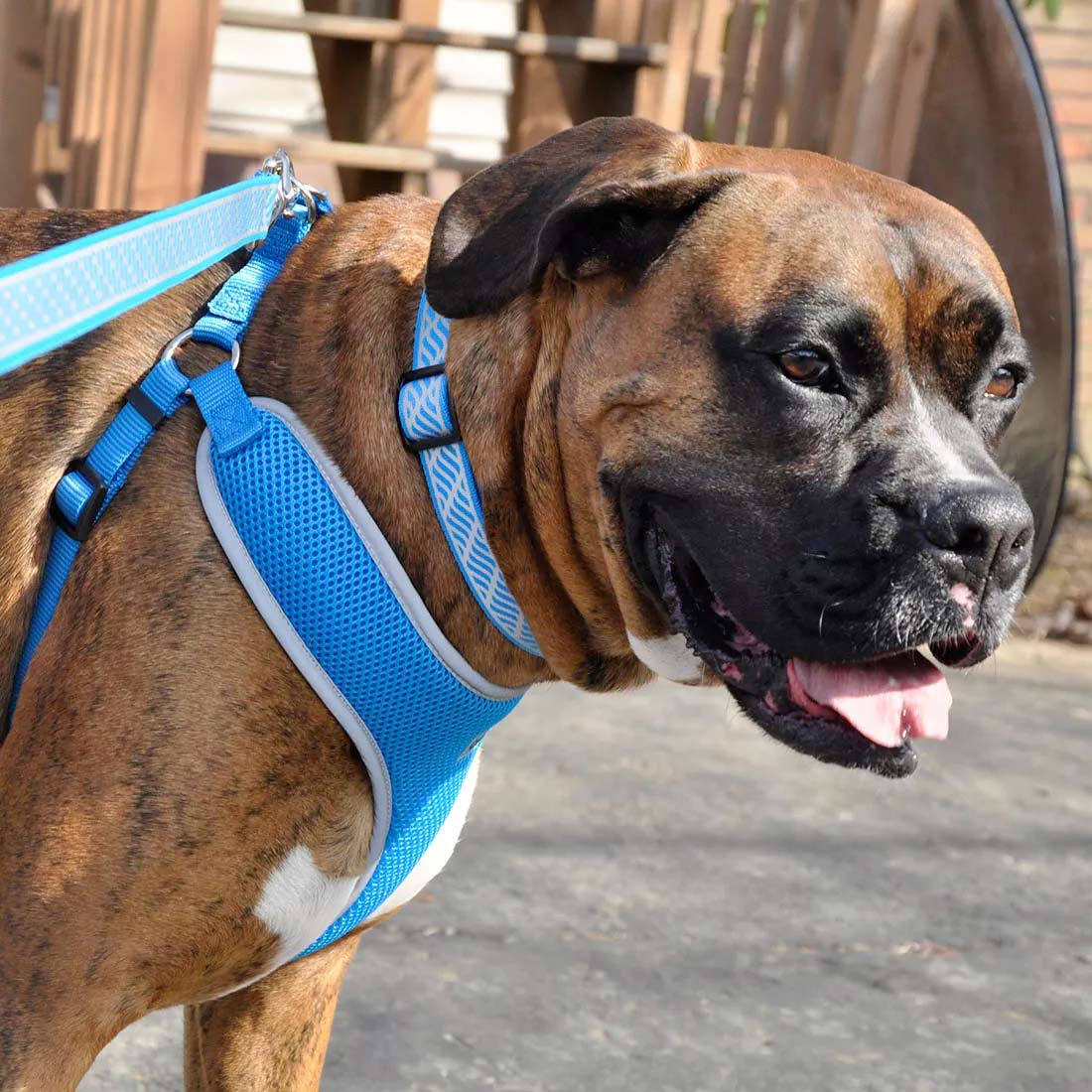 Comfort Soft Reflective Wrap Adjustable Dog Harness - Image 31