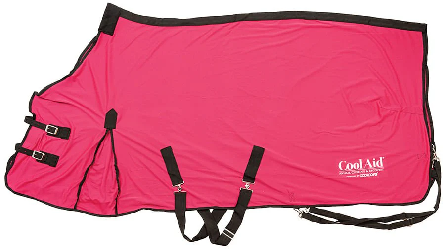 Coolcore Equine Cooling Blanket - Image 5