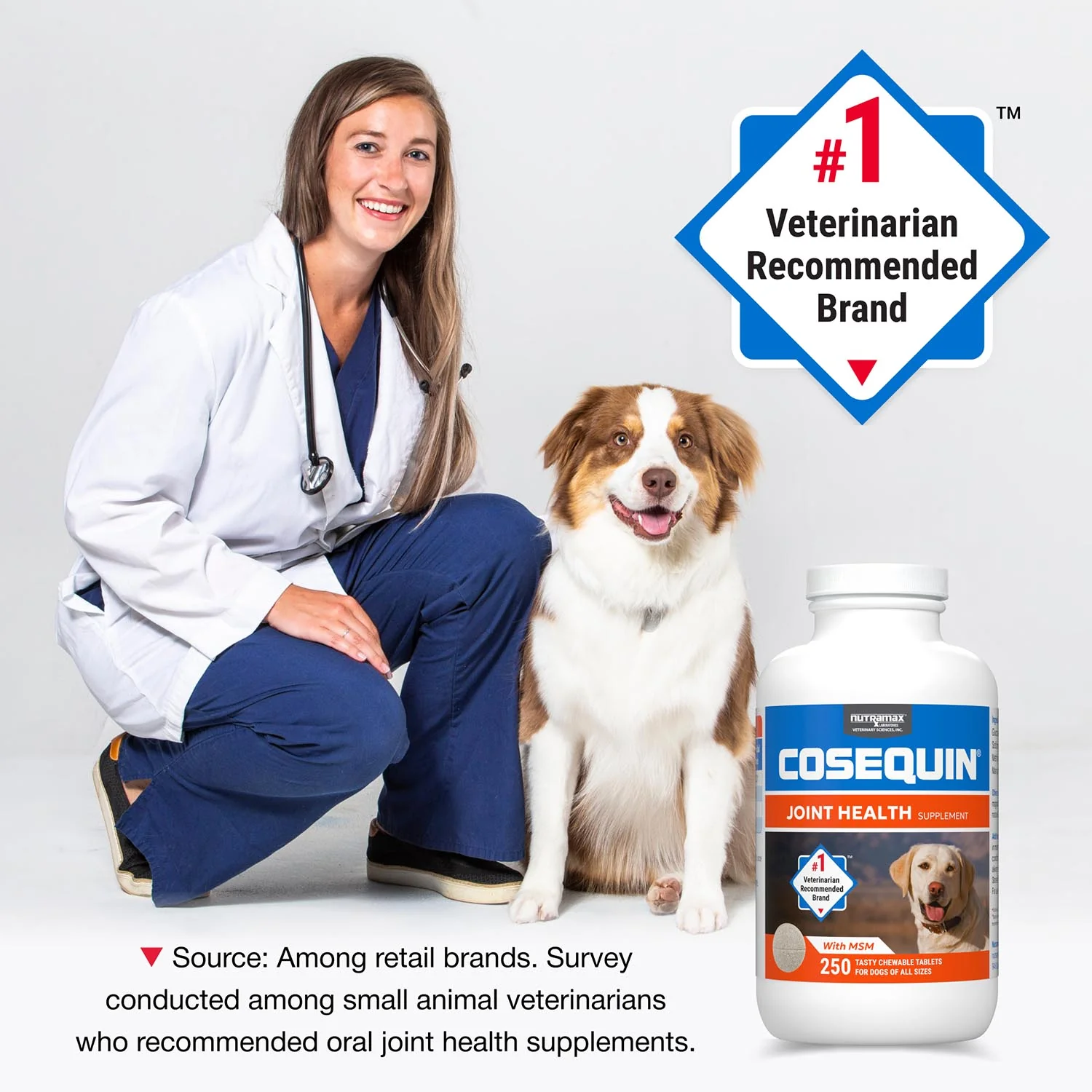 Nutramax Cosequin Maximum Strength Joint Health Plus MSM Supplement for Dogs, Chewable Tablets - Image 20