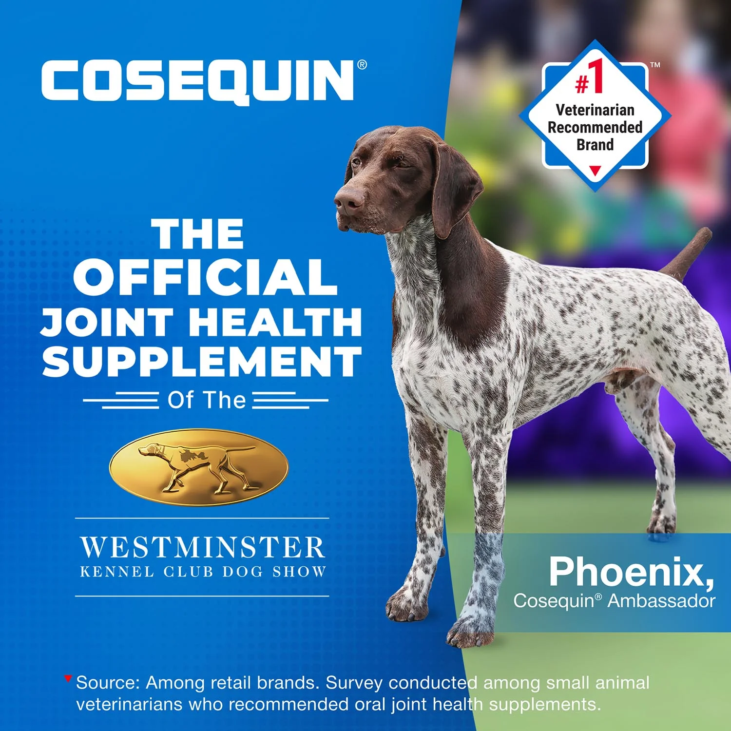 Nutramax Cosequin Minis - Maximum Strength with MSM Plus Omega-3's - Image 6