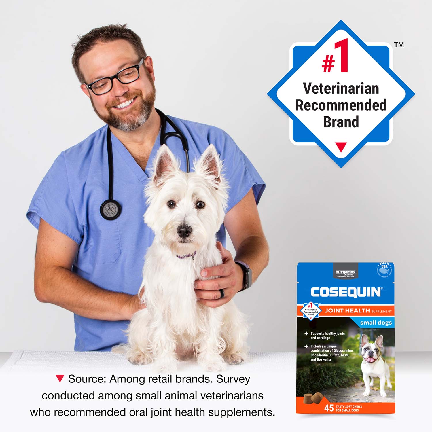 Nutramax Cosequin Mini Plus MSM Professional Line, 45 Soft Chews - Image 3